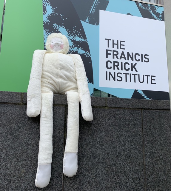 HUG at the Crick Institute May 2023